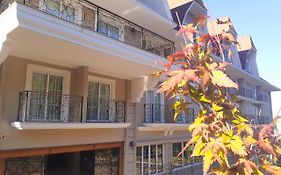 Daara Transamerica Collection Gramado